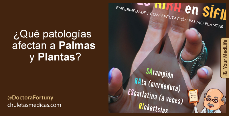 ¿Qué patologías afectan a Palmas y Plantas?