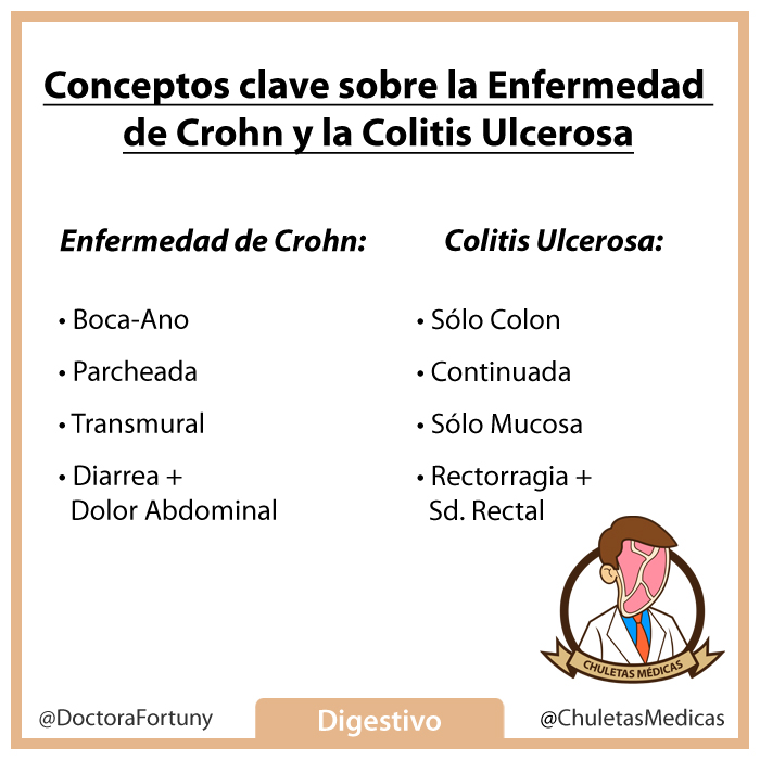 Conceptos clave sobre la Enfermedad de Crohn y la Colitis Ulcerosa