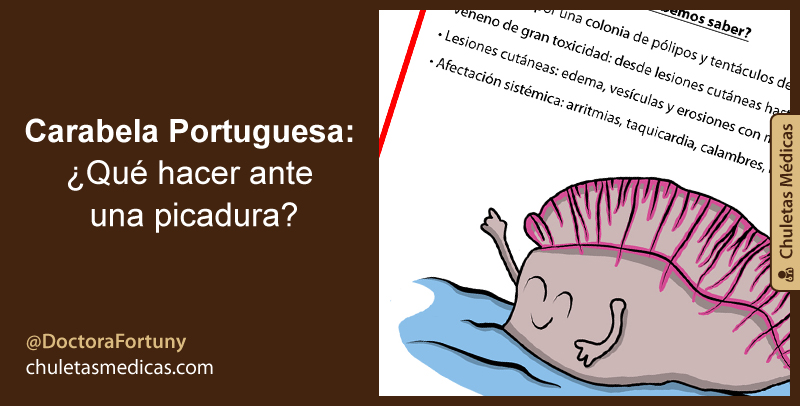 Carabela Portuguesa: ¿Qué hacer ante una picadura?