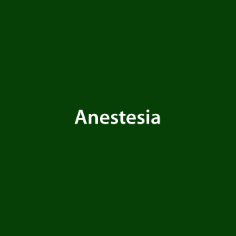 Anesteia Especialidad Chuleteca