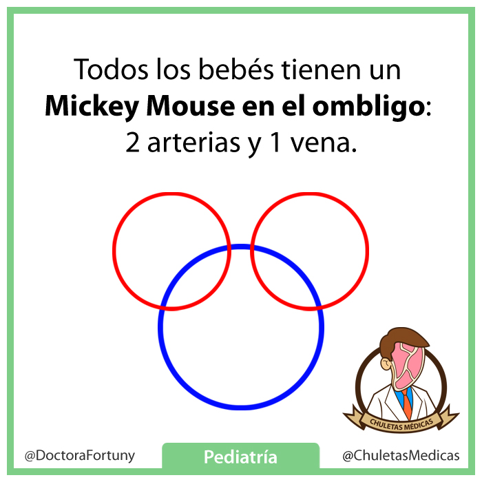 Todos los bebés tienen un Mickey Mouse en el ombligo: 2 arterias y 1 vena