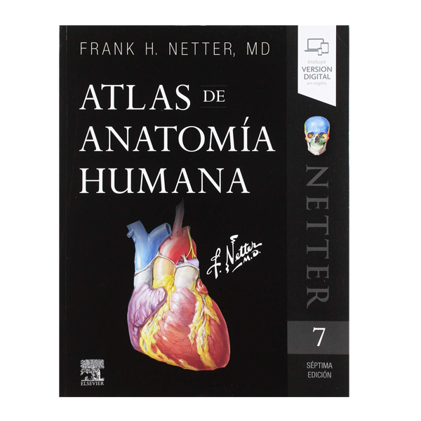 Atlas de anatomía humana Netter - 7ª Edición